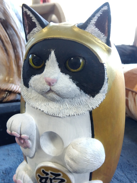 IMG_2026-03-10-16-01-36-234c