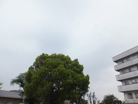 DSCF9810a