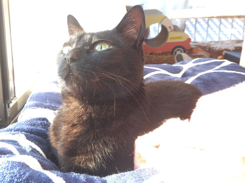 IMG_2026-04-08-06-51-03-518c