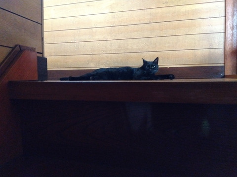 IMG_2025-07-30-05-54-06-469c