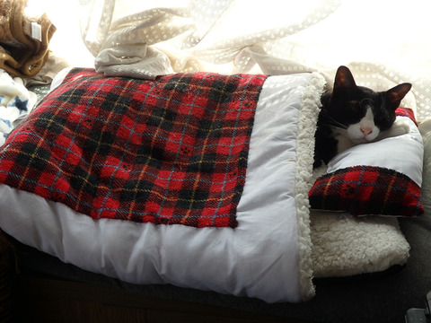 0とひろお布団1