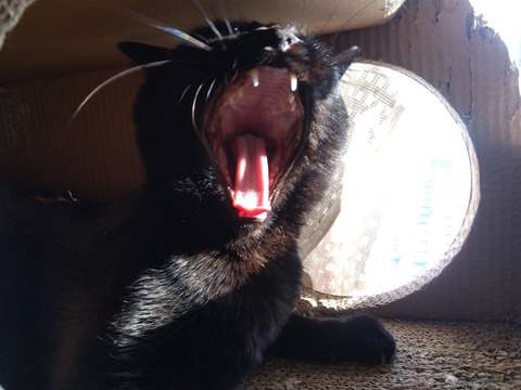 IMG_2024-02-28-15-25-23-953a