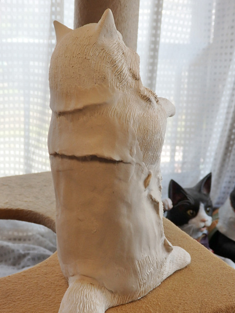 P8284371h