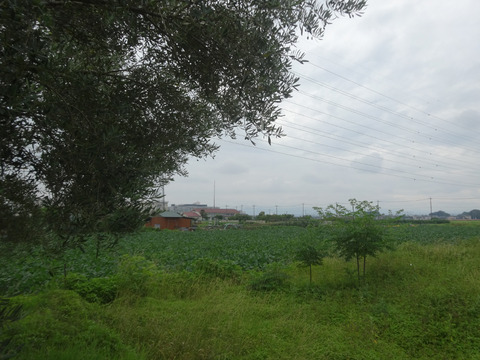 DSC00007k