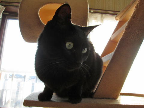IMG_3009c
