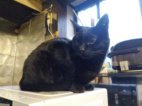 IMG_2026-04-16-05-31-53-662c