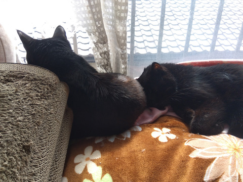 IMG_2026-02-27-12-58-57-214c