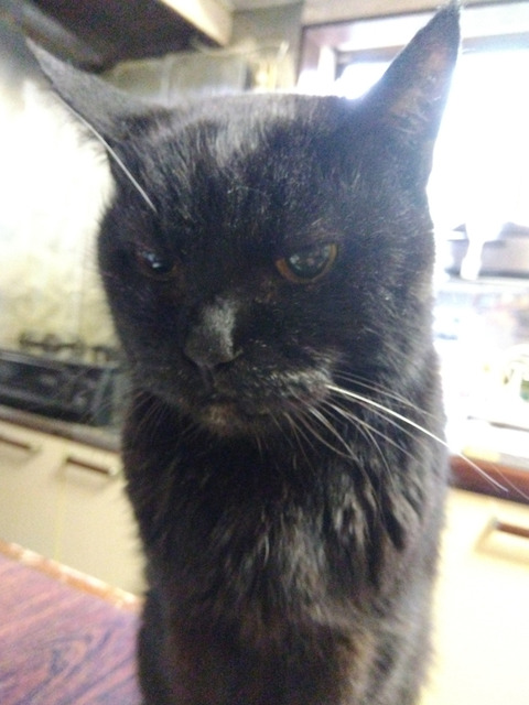 IMG_2026-04-10-07-43-24-376c