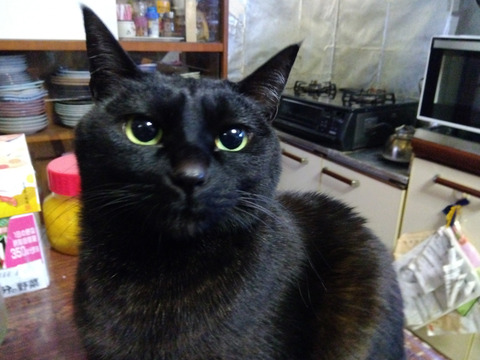 IMG_2026-03-11-06-32-48-378c