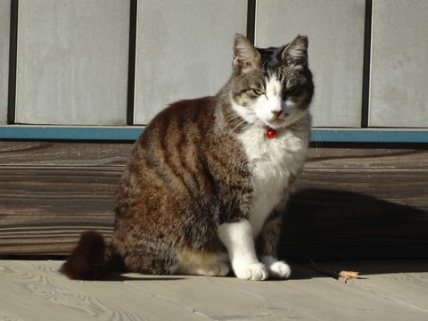 DSC06010k