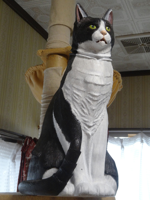 DSC09819k