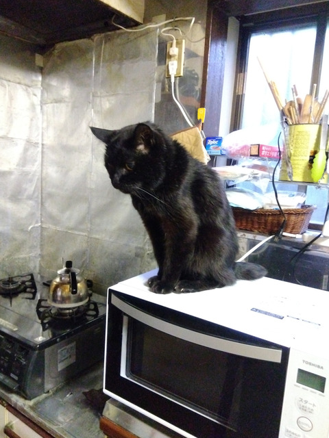 IMG_2026-04-15-05-43-48-537c