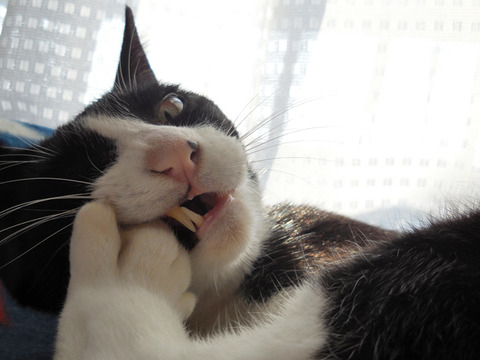 0 とひろ爪のお掃除