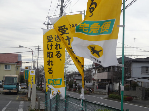 DSC03514j