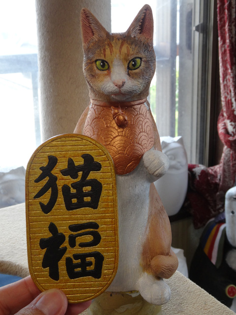 DSC06011i