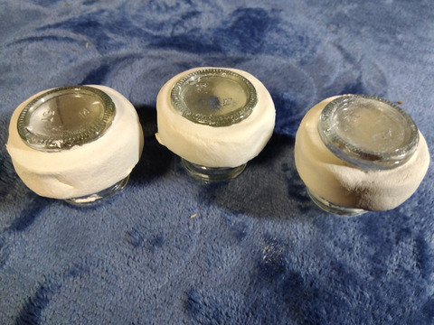 IMG_2024-02-28-20-12-03-302a