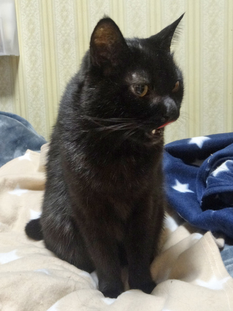DSC03050j