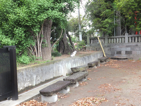 DSCF0239a