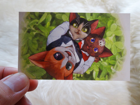 DSC01141k