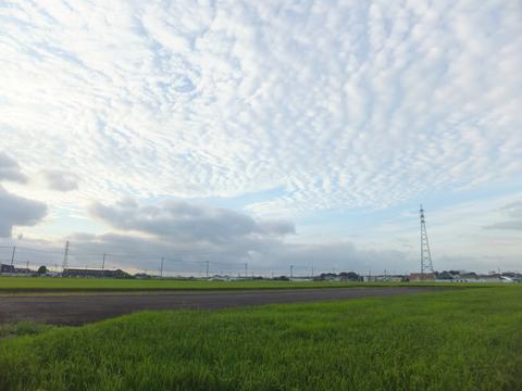 DSCF0174a