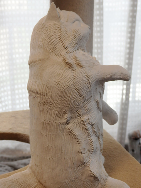 P8314709h