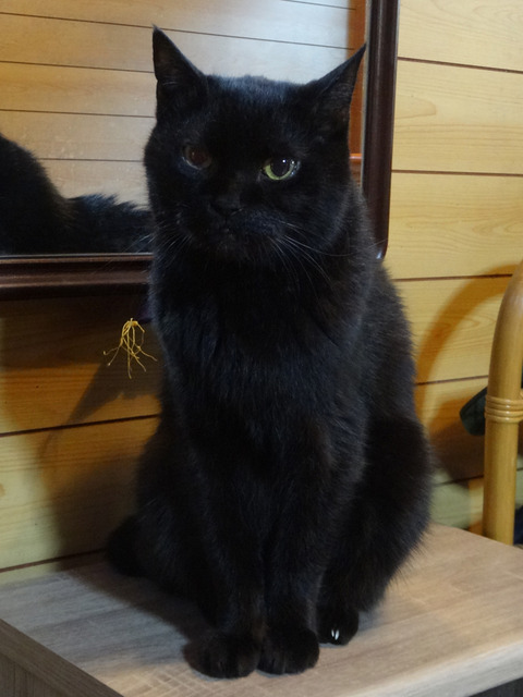 DSC00938k