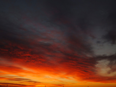 DSCF5713a