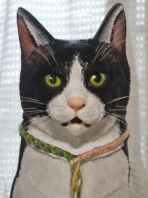 DSC00080k