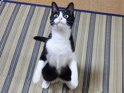 0 たちとひろ1