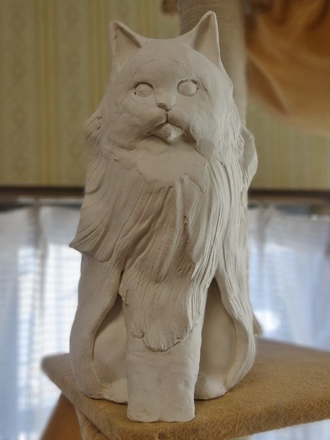 DSC06019k
