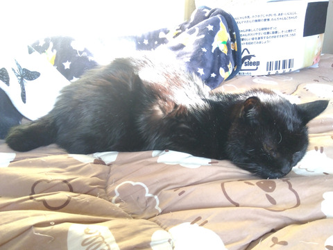 IMG_2026-04-08-06-50-27-484c