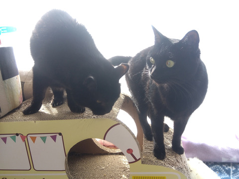 IMG_2024-02-27-09-20-23-582a