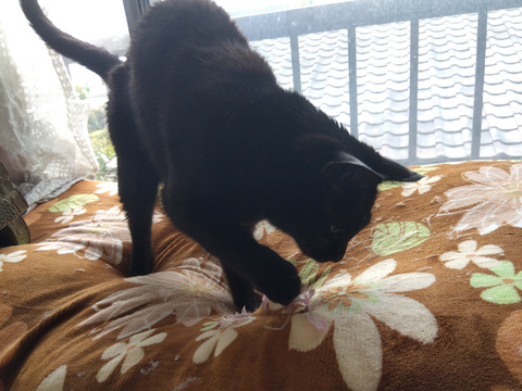 IMG_2026-04-10-16-12-16-518c