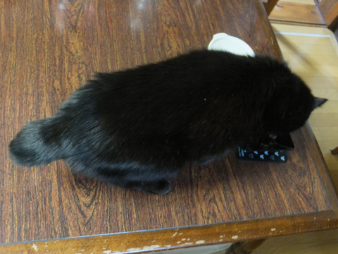 DSCF0193a