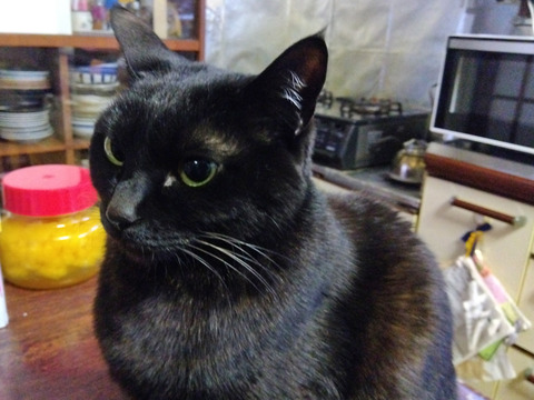 IMG_2026-03-11-06-32-51-308c