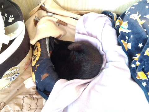 IMG_2025-12-30-07-43-52-035c