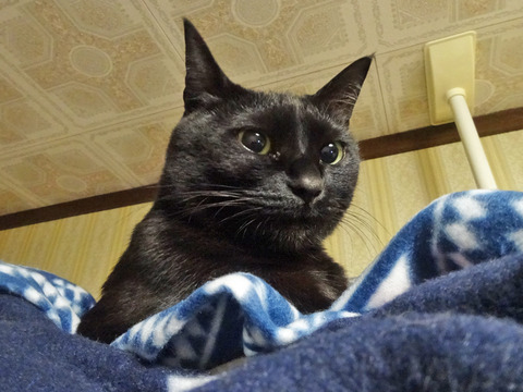 DSC06025k