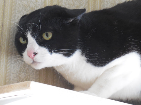 0 とひろガン飛ばし1