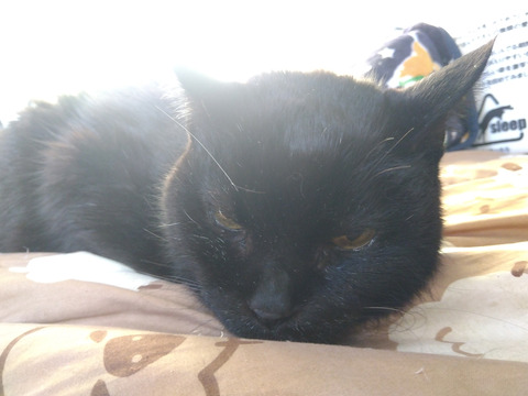 IMG_2026-04-08-06-50-36-168c