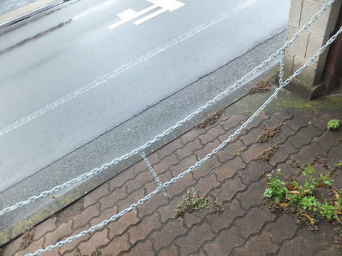 DSCF0238a
