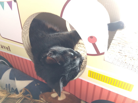 IMG_2026-02-27-12-59-38-869c