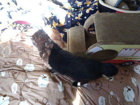 IMG_2026-04-11-07-23-06-983c