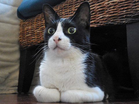 0キリッととひろ