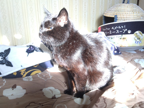 IMG_2026-04-12-07-26-56-629c