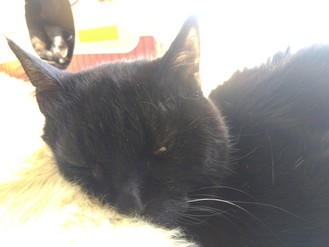 IMG_2024-02-28-14-48-59-408a