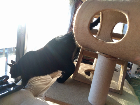 IMG_2025-12-31-08-16-27-398c