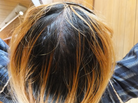 DSCF1857a