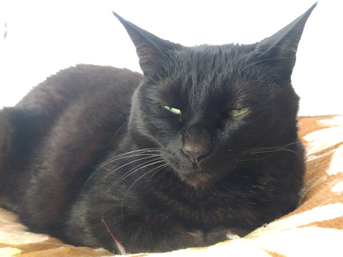 IMG_2026-04-12-07-26-45-414c