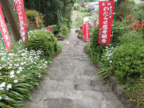 P5077063i