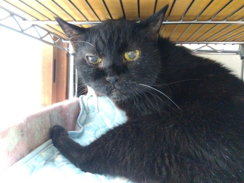 IMG_2025-07-30-06-20-02-188c